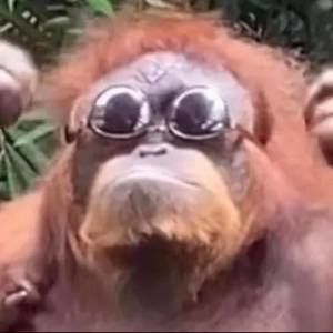 Meet your Posher, Bryan